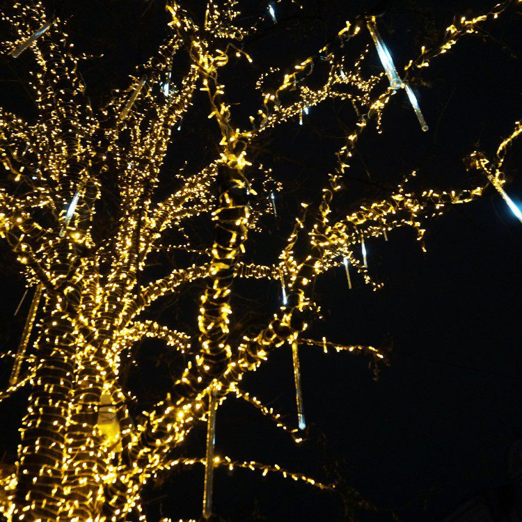 Christmas Light Tree & Bush Wrapping Christmas Light Tree & Bush Wrapping