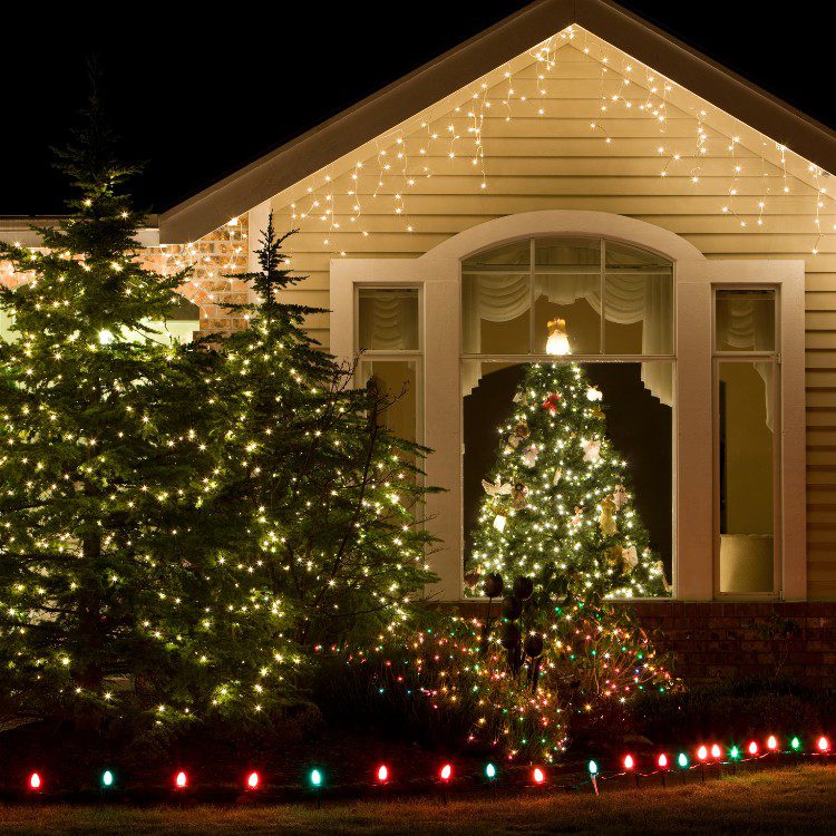 Christmas Light Tree & Bush Wrapping Christmas Light Tree & Bush Wrapping
